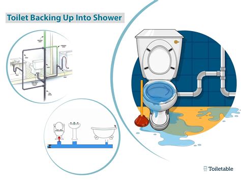 Toilet Backup Into A Shower Guide Toiletable