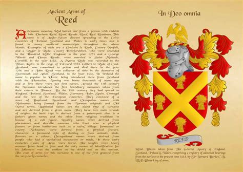 Reed family coat of arms | Coat of arms, Family tree, Arms