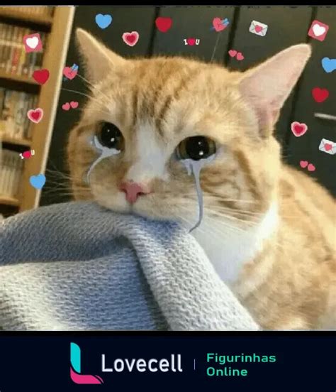 Figurinha Gato Chorando Frases Indiretas Para Whatsapp Lovecell