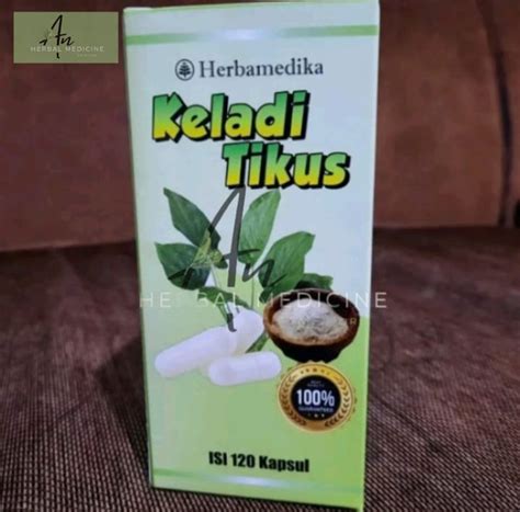 Keladi Tikus Rodent Tuber Typhonium Flagelliforme Powder Etsy