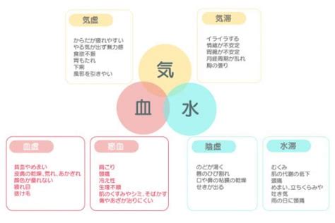 からだの中の巡りで不調の原因を判断する気血水とは漢方薬剤師が教える漢方のキホン6 サライ jp小学館の雑誌サライ公式サイト