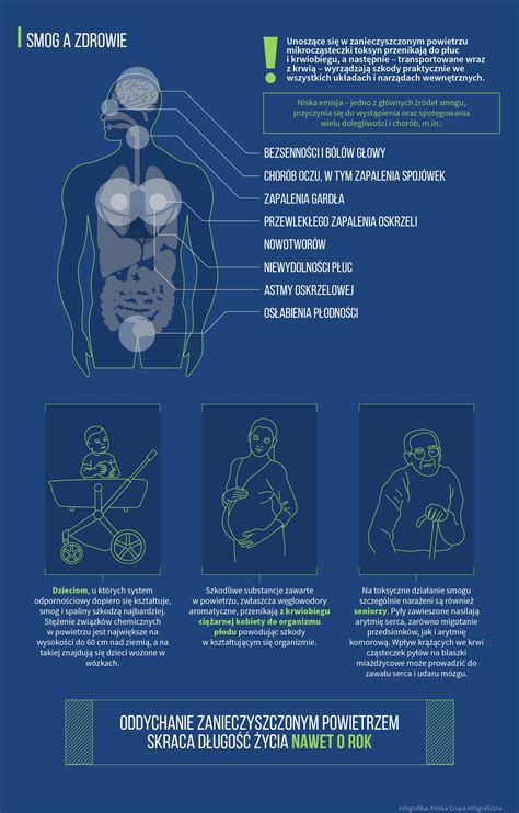 Smog A Zdrowie Co Nas Truje Latem Turystyka Zdrowotna