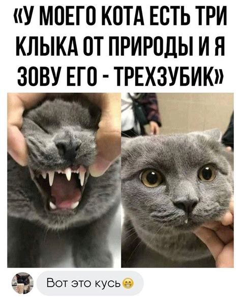 Пин от пользователя Слободяник Катя на доске Смешные мемы в 2024 г ...