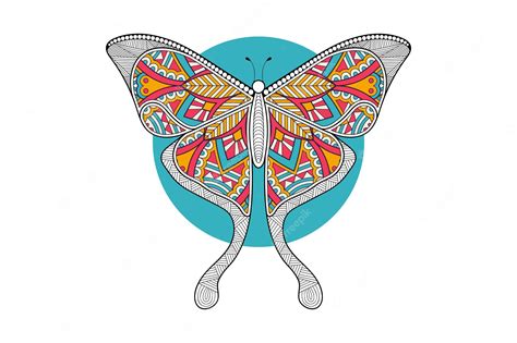 Premium Vector Vector Butterfly Black And White Element Line Art