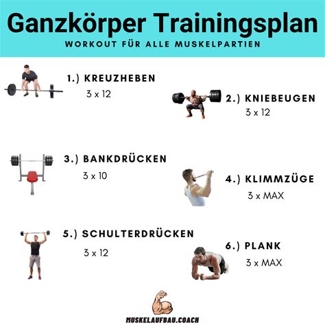 Ganzkörper Trainingsplan für Muskelaufbau 2 3 Trainingseinheiten pro