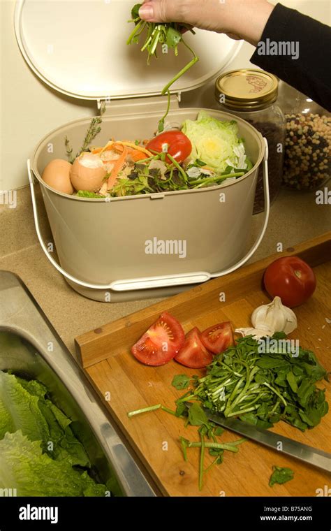 Organic Recycling Kitchen Compost Pail Stock Photo Alamy