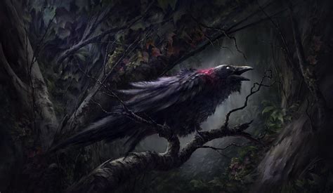 Fantasy Birds Wallpapers Wallpaper Cave