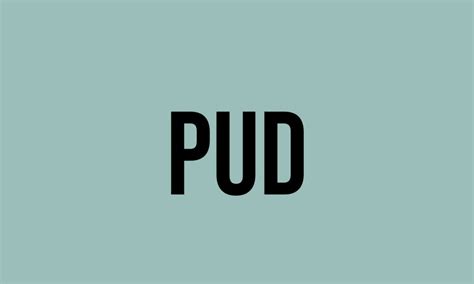 What Does Pud Mean? - Meaning, Uses and More - FluentSlang