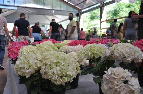 Feira Das Flores De Ivoti J Tem Data Para Ocorrer Jornal O Di Rio