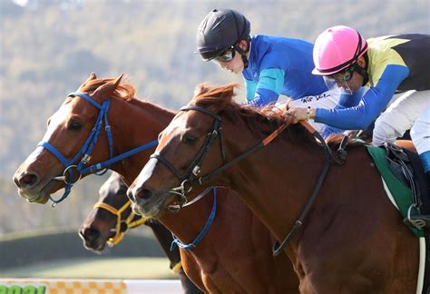 【小倉大賞典】石川「最後は必死でした」テリトーリアルが重賞初制覇！ 競馬ニュースなら競馬のおはなし