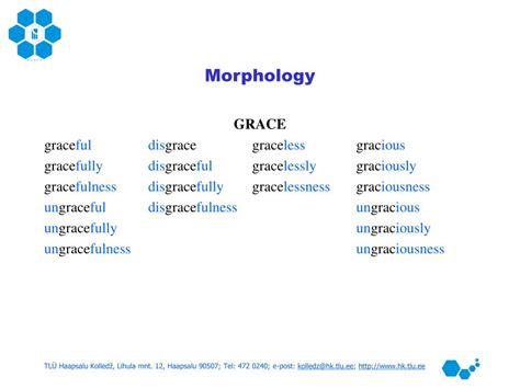 PPT - Basics of Morphology PowerPoint Presentation, free download - ID:3381656