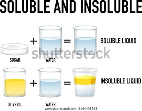 196 Solubility Experiment Stock Vectors and Vector Art | Shutterstock