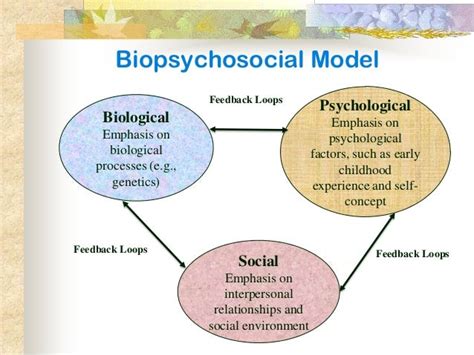 Amandas Corner Developmental Psychology What You Should Know