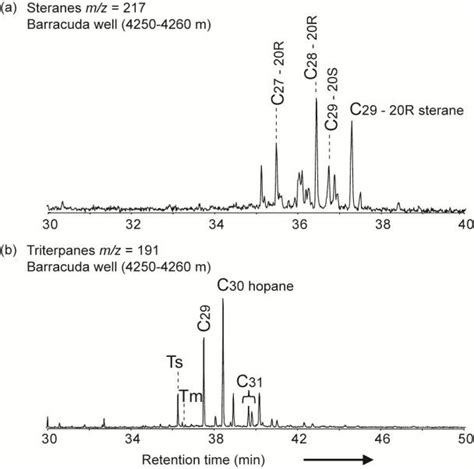 Representative Mass Chromatograms Of A Steranes Mz 217 And B Download Scientific