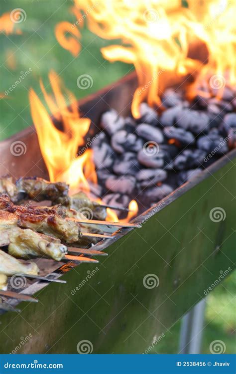 Outdoor Barbecue Grill stock photo. Image of burn, flammable - 2538456