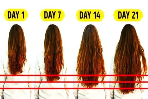 does hair grow faster in sunlight at larissa edwards blog