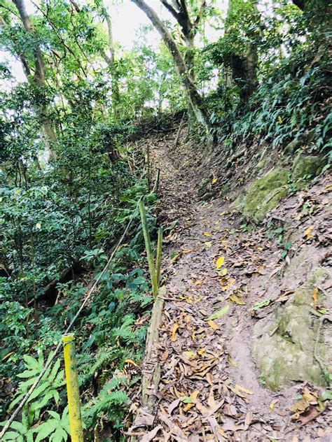 9 Nature Trails For Hiking In Montserrat | Caribbean & Co.