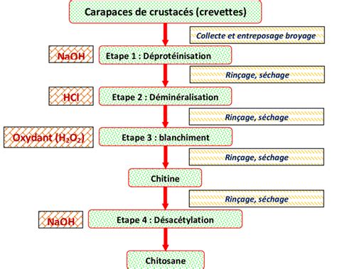 Guide Du Harpon De Valheim Comment Extraire La Chitine Et Obtenir Un