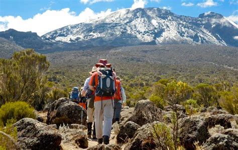 Kilimanjaro Climbing Rongai Route – Ama Kilimanjaro Company