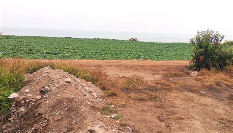 Terrenos Comerciales en Chancay Venta de terrenos Agrícolas Chancay