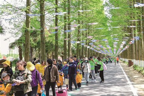 精彩文旅活动抢先看