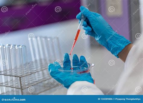 Biochemical Analysis and Chemical Analysis in Lab. Stock Photo - Image ...