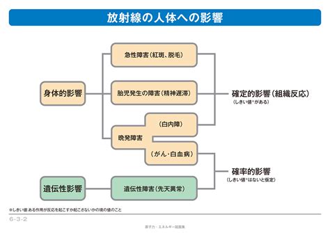 放射線の人体への影響 － 放射線とは｜電気事業連合会