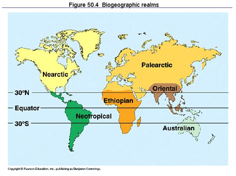 Figure 504 Biogeographic Realms