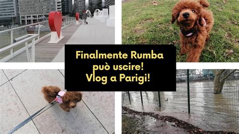 Portiamo Rumba dal veterinario e adesso può uscire di casa Vlog a