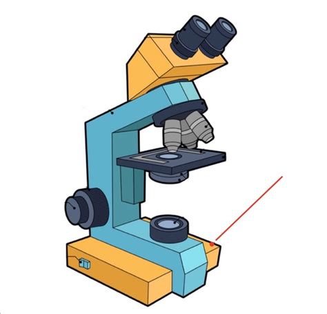 The Microscope Flashcards Quizlet