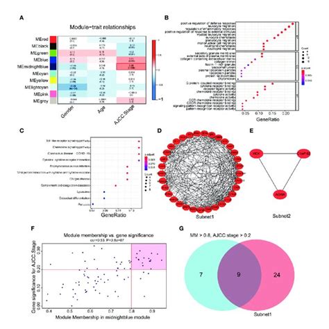 The Identification Of Hub Genes Related To Gastric Cancer