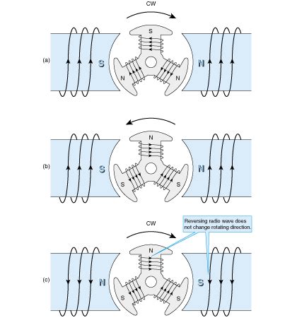 What Does A Commutator Do In Motor | Webmotor.org