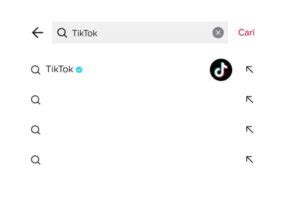 Cara Mudah Mencari Id Tiktok Sendiri Dan Orang Lain