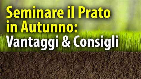 Come Seminare Il Prato A Settembre Guida Completa E Consigli Pratici