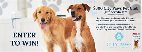 Vetpartners Pet Hospital Plymouth And Edina Mn Home