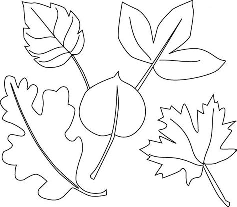 Tree Leaves Coloring Pages For Kids To Print For Free