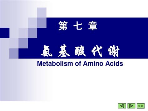 生物化学课件第09章蛋白质分解氨基酸代谢 Word文档在线阅读与下载 无忧文档