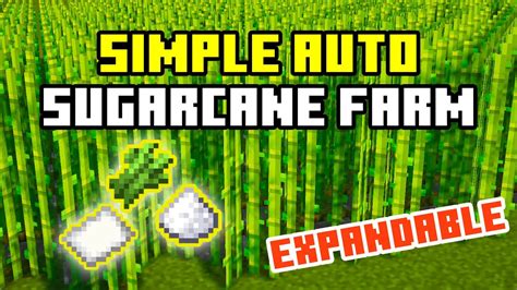 The Best Sugarcane Farm In Minecraft Minecraft Bedrock Tutorials