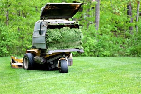 What Are The Benefits Of Mulching Your Grass Clippings 55 OFF