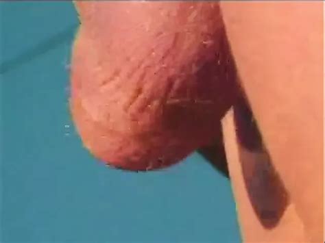 Brunette Fucking Stud On Lawn American Anal Anal Porn Xhamster