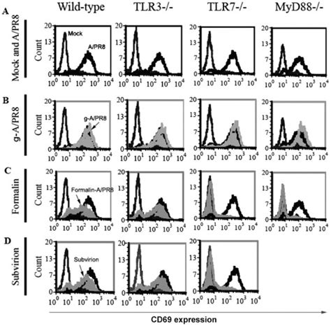 Splenocytes From Wild Type 129 TLR3 TLR7 And MyD88 Mice Were