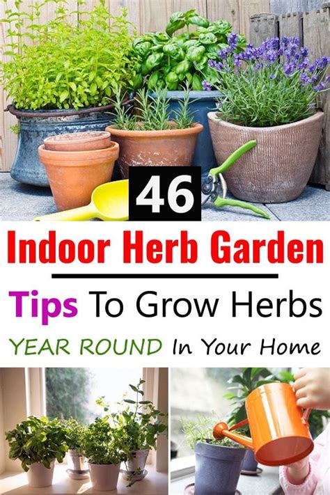 46 Indoor Herb Garden Tips To Grow Herbs Year Round In Your Home