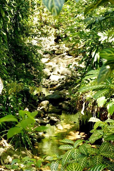 Goring-on-Thames Real Estate: Riverfront Homes for Sale 28