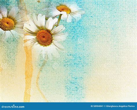 Daisies Background Watercolor Stock Illustration - Illustration of ...