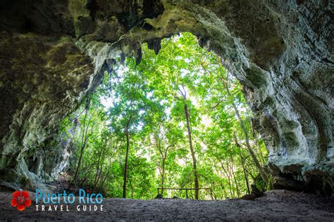 Cueva Ventana Arecibo Puerto Rico 2024 Guide Amazing Cave Scenery