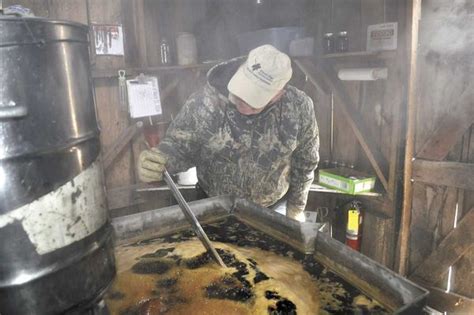 Making Maple Syrup At Cozy Grove News Sports Jobs Farm News