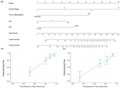 A Nomogram For OS Prediction Based On Independent Prognostic Factors