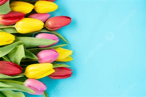 Pink And Violet Tulips Flowers Border Over Plain Aqua Blue Background