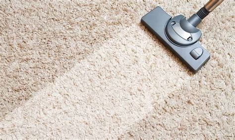 How To Disinfect Carpet Floors Steps You Should Follow