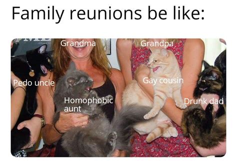 I love family reunions : r/memes